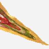Multicolored 'Au-delà des Cinq Mers' Silk Plissé Scarf