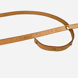 Brown and Tan Monogram Canvas Pochette Florentine Waist Bag