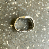 Stainless Steel Constellation Double Eagle Watch