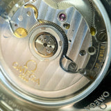 Stainless Steel Seamaster Co-Axial Aqua Terra 150m Watch